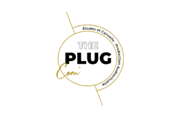 Logo The Plug COM